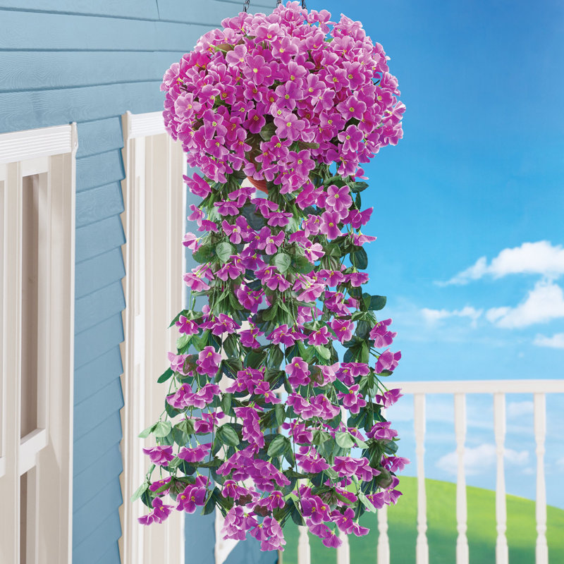 Buissons suspendus artificiels, Mauve