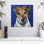 Crowle Jack Russell Buster-109395876
