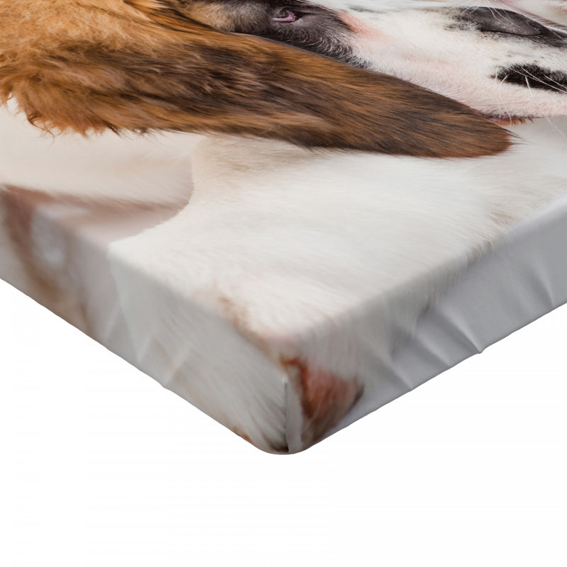 Microfiber Fitted Sheet, Twin Fitted Sheet