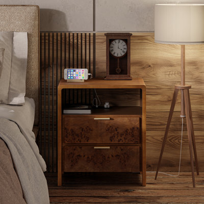 Manish 2 Drawer Nightstand With Charging Station by Langley Street