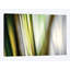 « organic ii », impression sur toile-31289182-73219048-73219043