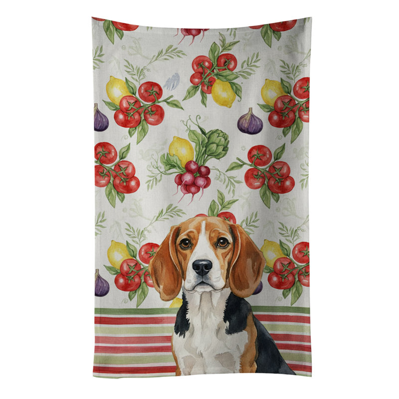 Torchon Beagle, Beagle