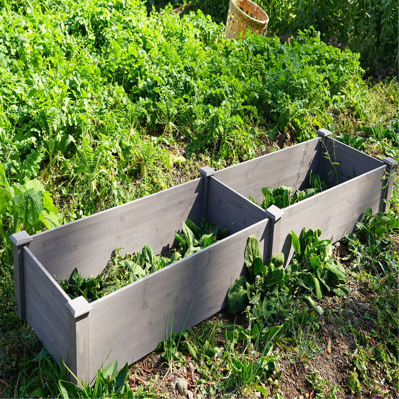 Axavier Planter Box
