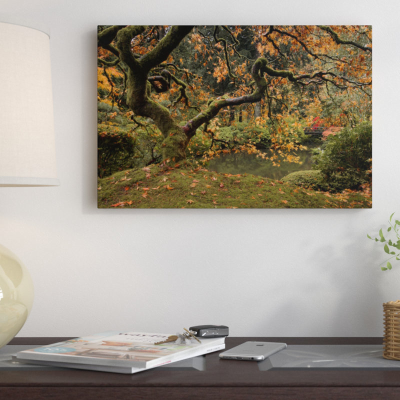 «Golden Fall at the Garden», reproduction de photo sur toile, H 16 po x l 24 po x P 1 po, Papier d'art encadré noir