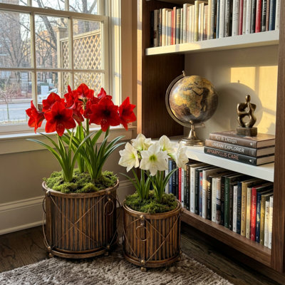 2 Piece Ball-Footed Drum Planters and Stands