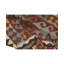 Afghan Wool Oriental Area Rug