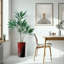66 plantes-97701527