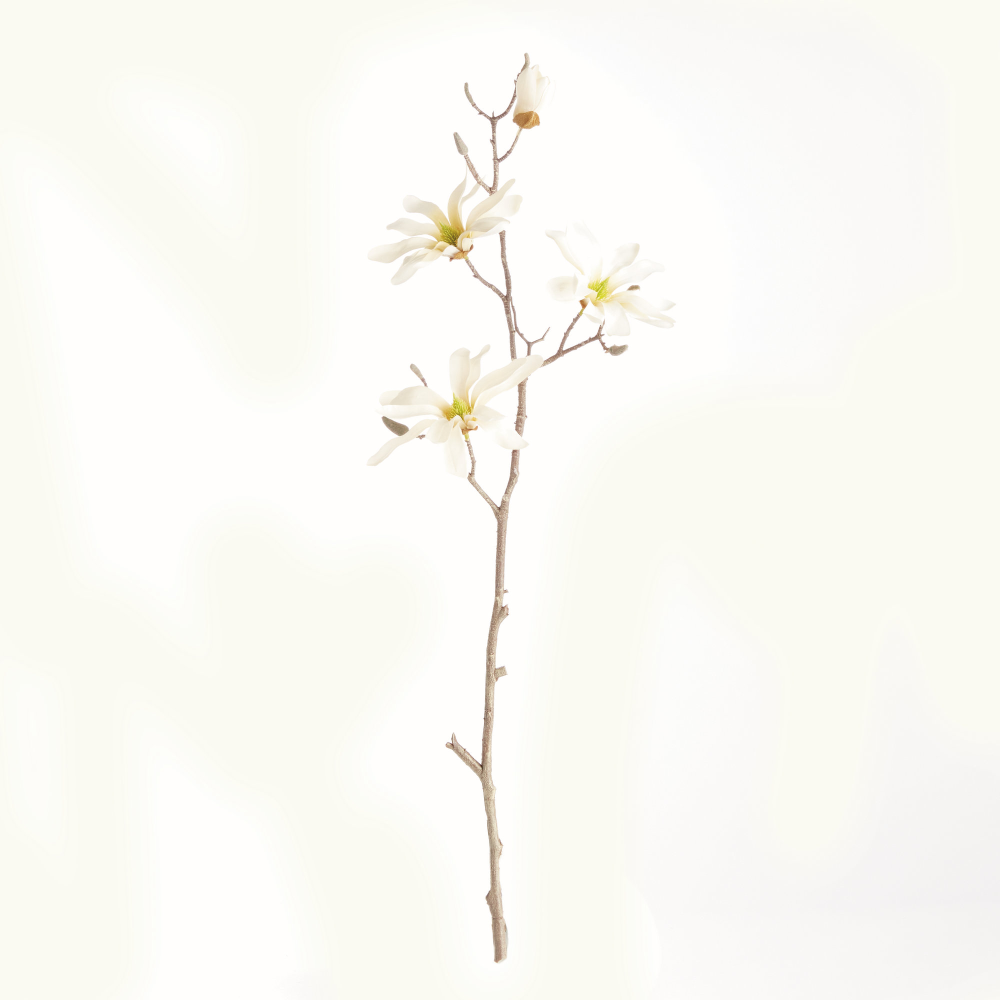Magnolia Etoile Realistic Faux Star Branches, 32"