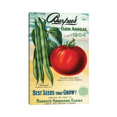 1904 Seed Catalog from the Andersen Horticultural Library by Piddix - Wrapped Canvas Graphic Art