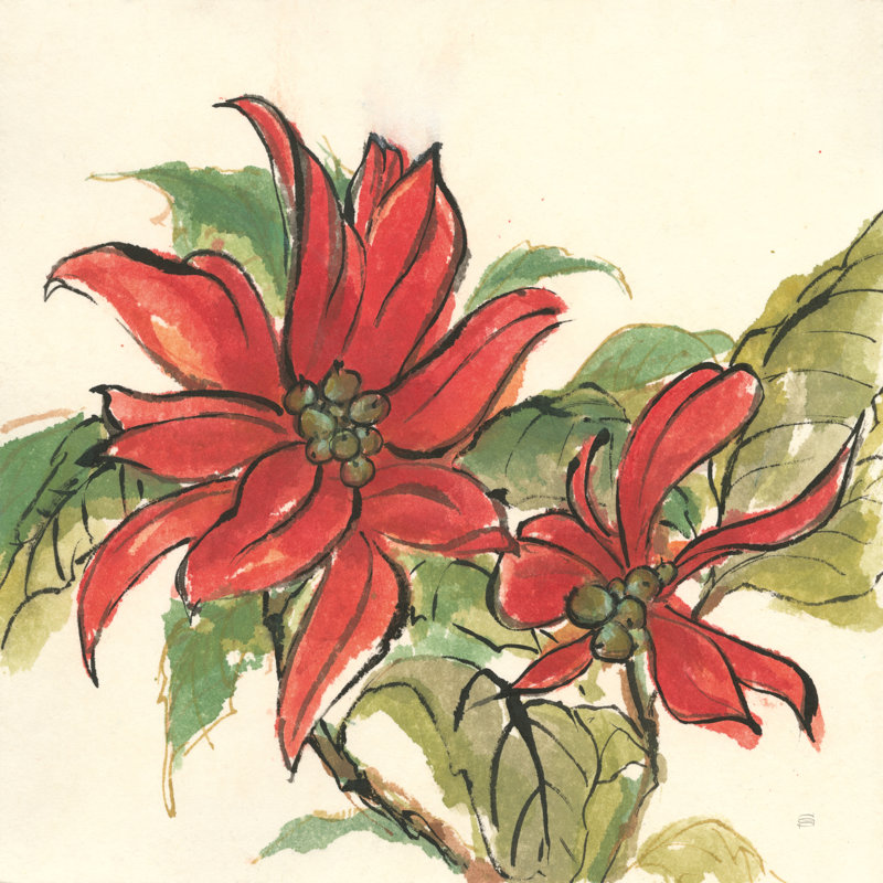 Poinsettia II, H 30 po x l 30 po x P 1,25 po, Non, Toile encadrée noire