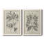 "Antique Black and White Botanical VI", ensemble de 2 reproductions d'art sur toile-1503099802-1503099803