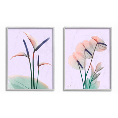 «Neon Reeds» par Albert Koetsier, ensemble de 2 reproductions de photos