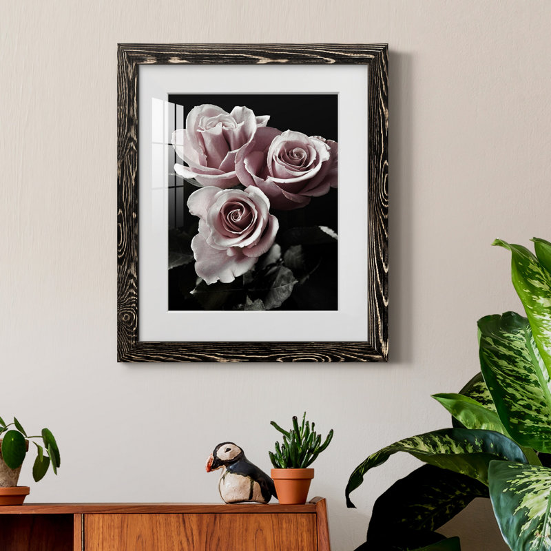 Rose noire I - photographie, Papier encadré noir, H 37,5 po x l 27,5 po x P 1,5 po