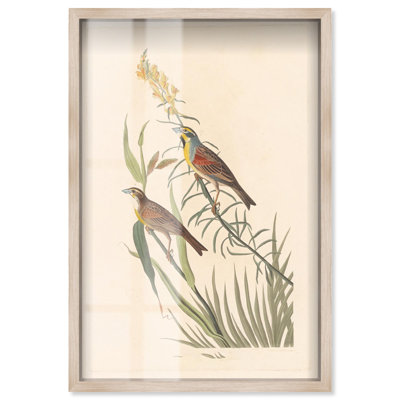 «Tallgrass pair shadowbox print», art botanique par Art Remedy