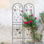 Ensemble de 2 treillis de jardin en métal 86,7 po x 19,7 po antirouille pour plantes grimpantes déco libellule