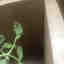 Customer photo 3 of 3