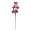 Beaded Berry-1412943472-1412943479