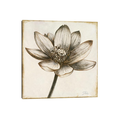 Sepia Lotus II by Patricia Pinto - Wrapped Canvas Gallery-Wrapped Canvas Giclée