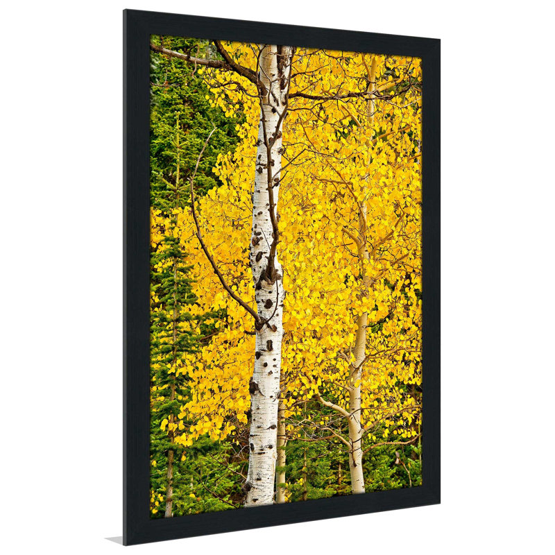 «Sunny Blooms», reproduction de photo, H 27,5 po x l 21,5 po x P 0,75 po, Cadre espresso