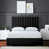 Midnight Black