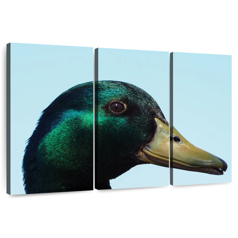 Brampt Mallard Duck Close Up, 42" H x 65" W