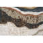 Brown/Beige/Gold/White/Navy Rug-168402362