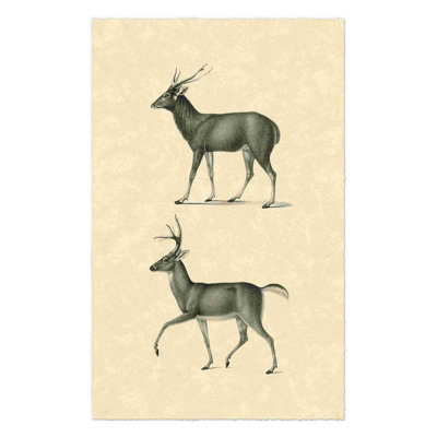 Cerf rétro II