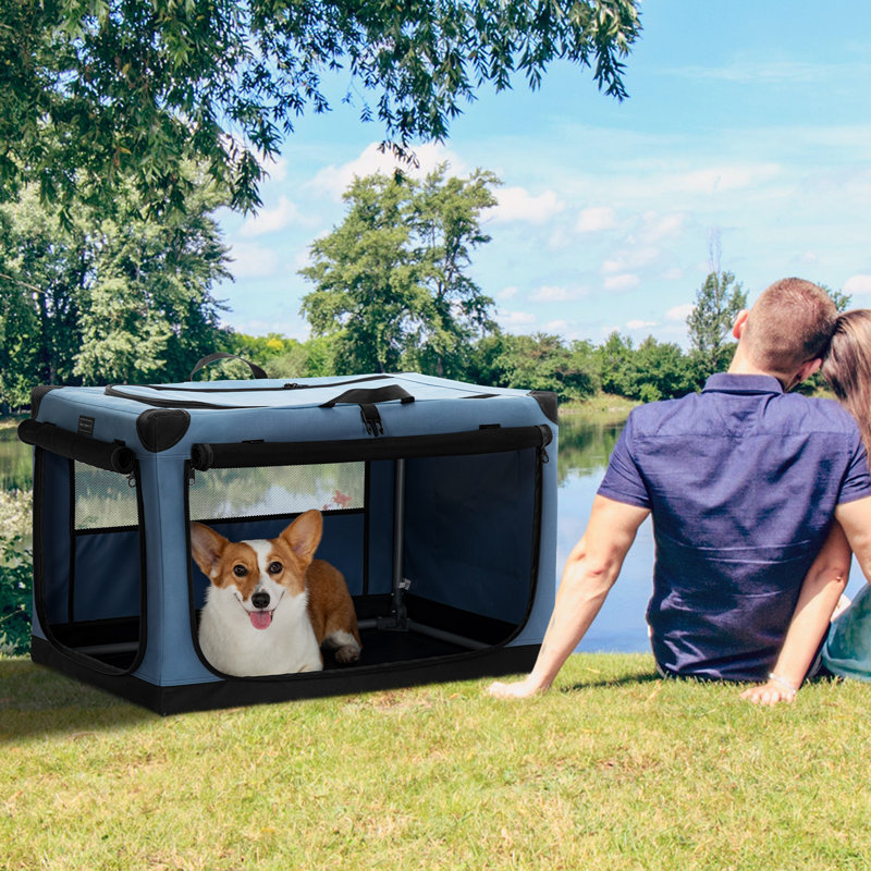 Caisse pour animaux Dejenae, Petit (H 30 po x l 19 po x P 20 po)