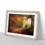 Autumn Forest - Framed Print-55456838-55456839