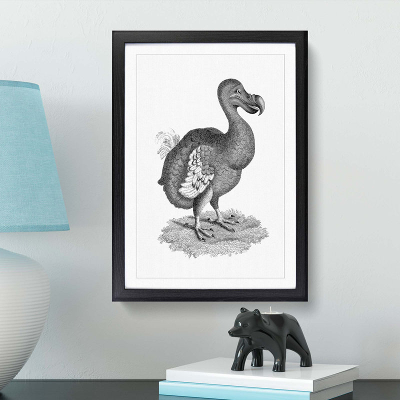 Dodo in Black and White by George Shaw - Picture Frame Drawing Print, Black Framed, 65cm H x 48cm W x 2cm D