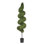 Boxwood Topiary