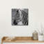  «Stain Glass Zebra» par Rich Monet, art mural en métal, 12 po x 12 po-698664070
