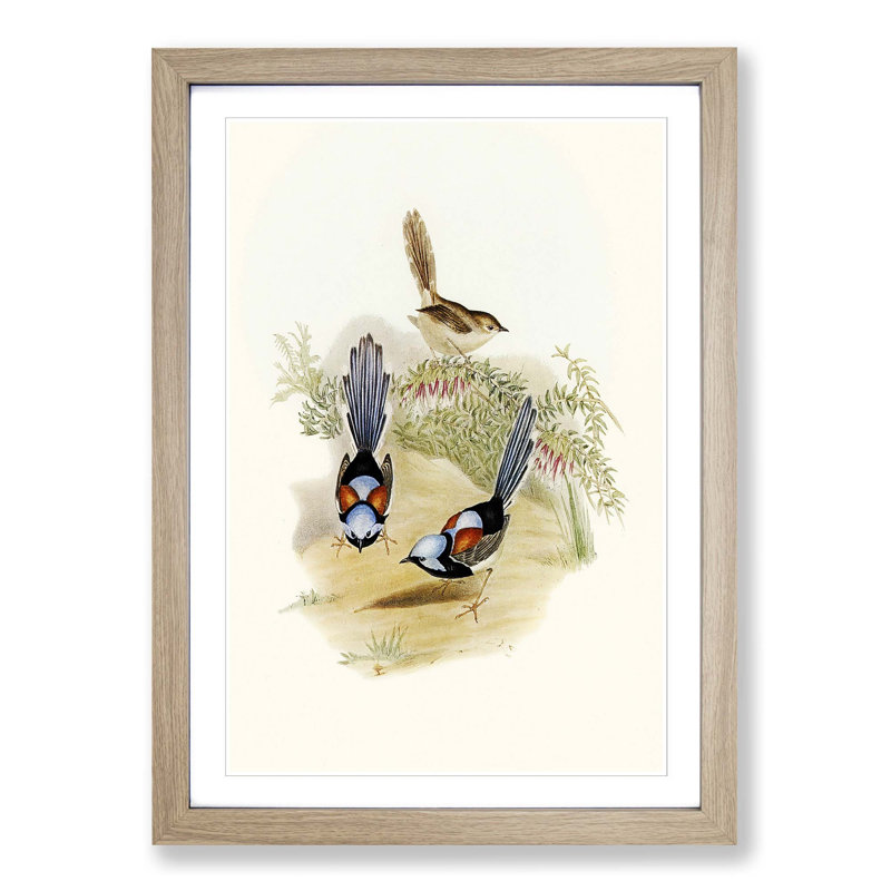 Lovely Wrens by Elizabeth Gould - Picture Frame Painting Print, 48cm H x 36cm W x 2cm D, Oak Framed