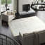 Ikat Area Rug in Ivory