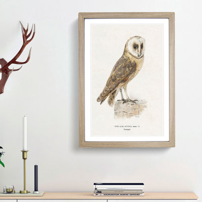 Perched Owl by Von Wright - Picture Frame Painting Print
