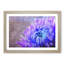 Lilac & Blue Chrysanthemum - Picture Frame Graphic Art Print-56859984-56859985