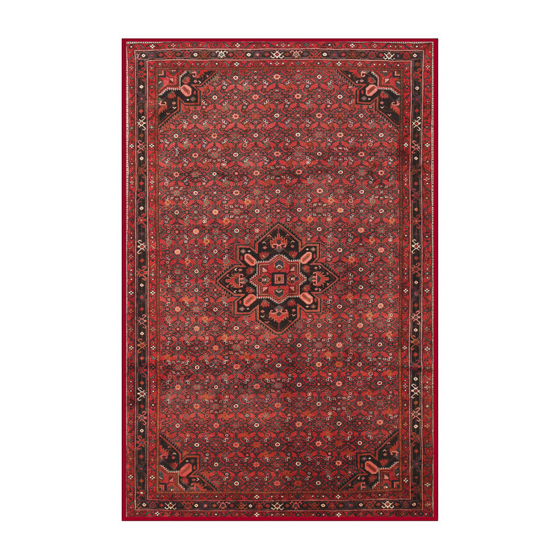Guyapi Oriental Indoor Rug, Rectangle 4' x 6'