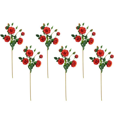 Jets de roses