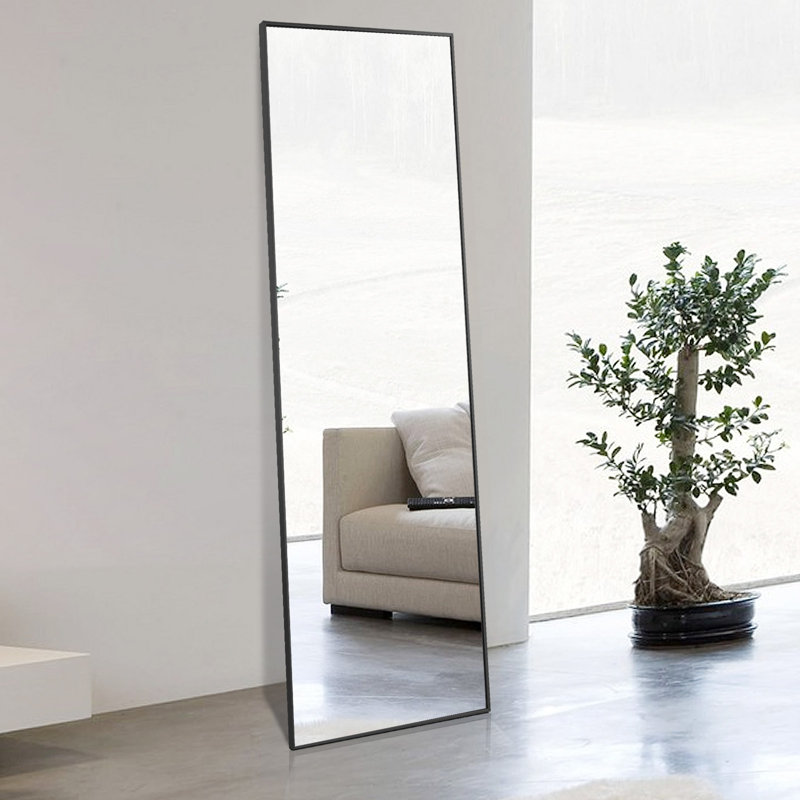 Miroir taille réelle, Noir, H 48 po x l 14 po