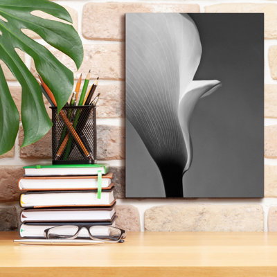«Calla No. 5» par PhotoINC Studio
