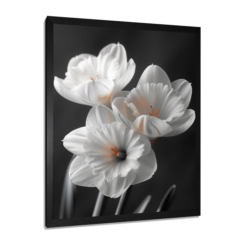 Monochromes blancs jaunes botaniques jonquilles II - jonquilles, impression d'art mural, H 34 po x l 44 po, Cadre simple noir