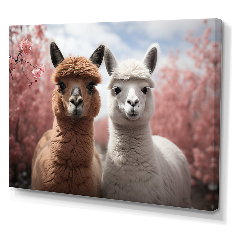 Alpagas Graceful Alpacas II - reproduction sur toile, H 16 po x l 32 po x P 1 po, Toile tendue