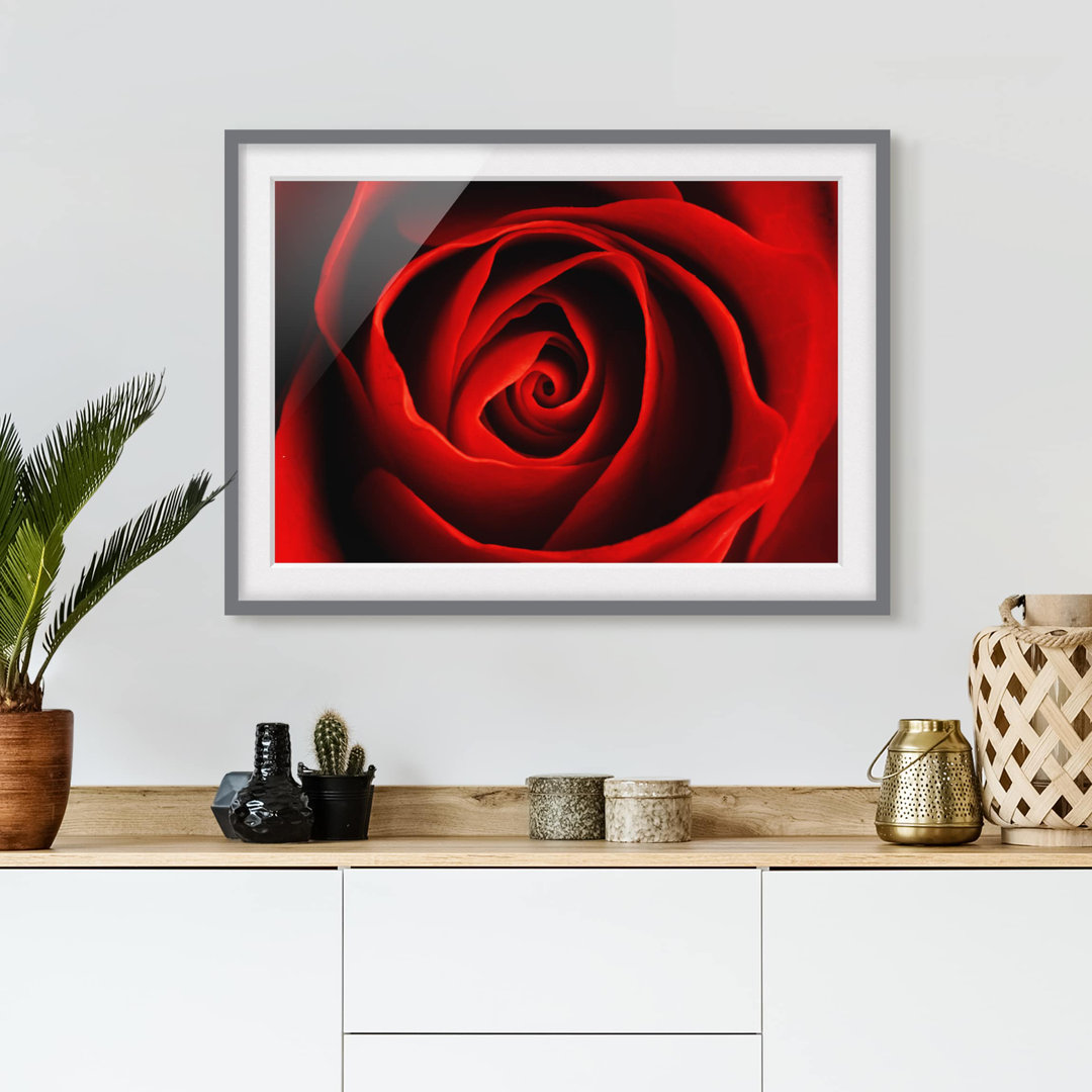 Gerahmtes Papierbild Liebliche Rose