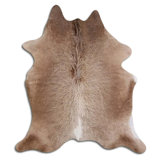 Tapis 5 pi x 7 pi Swaneus Novelty