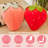 Velvet Strawberry Decorative Pillows for Couch Decor (Set of 2)-1588316148