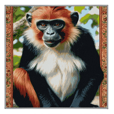  Tapis lavable rouge Colobus