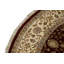 Aberdeen Oriental Area Rug