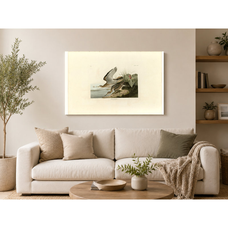 Bartram Sandpiper (Plate 303) - Art mural sur toile paysage, 14" W x 11" H