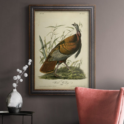 Toile de qualité supérieure Audubon Wild Turquie, prête à être accrochée