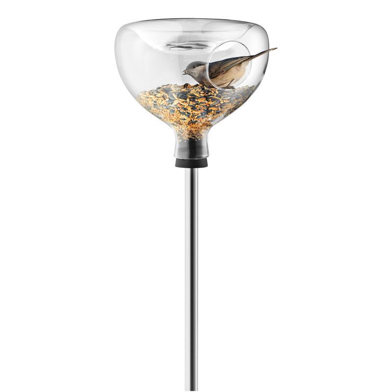 Glass Freestanding Feeding Station